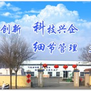 淄博市臨淄伊陽(yáng)工貿(mào)有限公司