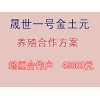 土元養(yǎng)殖咨詢(xún),，【薦】可信賴(lài)的土元養(yǎng)殖合作