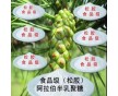 廠家直銷 阿拉伯半乳聚糖生產(chǎn)廠家