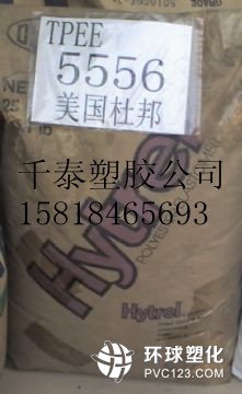 PA6 1013PL1蝸桿 軸承 凸輪